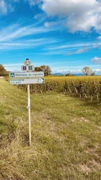 Veloroute du Vignoble d'Alsace