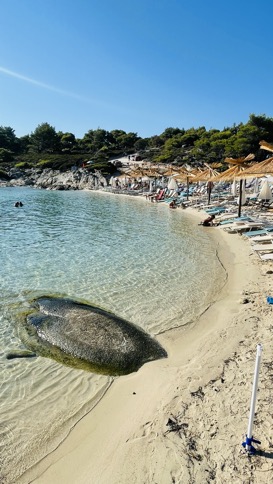 Panoramica sulla spiaggia