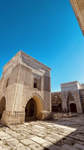 Mosche dei Caravanserraglio